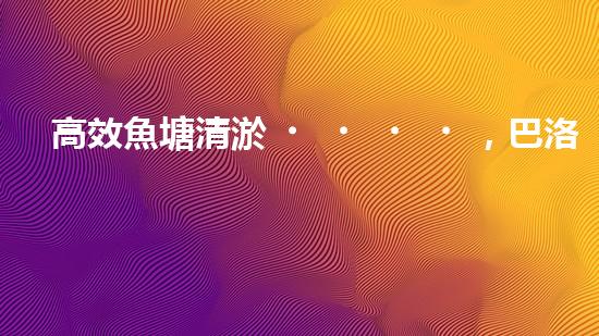 高效魚塘清淤，巴洛仕設(shè)備助力生態(tài)養(yǎng)殖